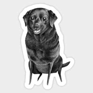 Black Labrador Sticker